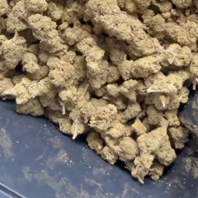 THC-A Caramel 40%