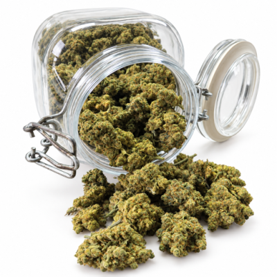 Amnesia Hydro 40% – THC A Blomst